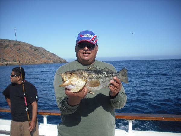 Limit of calico bass Limit of calico bass